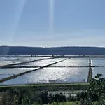 Xxl Riverside - Pet Friendly Appartement *