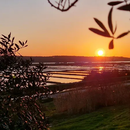 Xxl Riverside - Pet Friendly