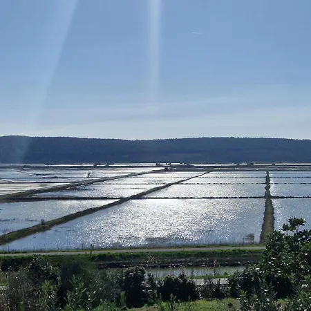 Xxl Riverside - Pet Friendly Апартаменты *