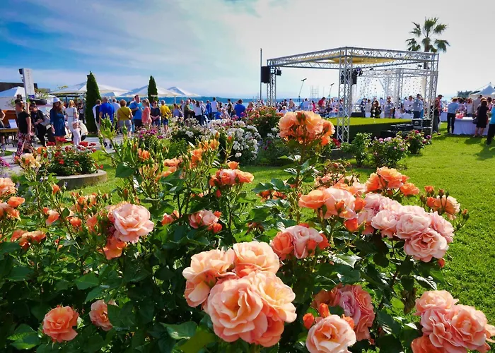 Xxl Riverside - Pet Friendly Appartement *