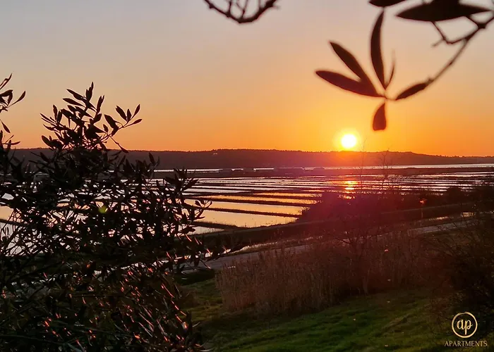 Xxl Riverside - Pet Friendly