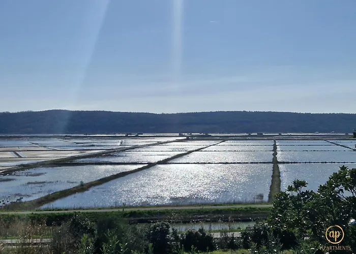 Xxl Riverside - Pet Friendly Apartament *